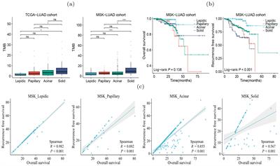 Single-cell and spatial transcriptome characterize coinhibitory cell-cell communications during histological progression of lung adenocarcinoma